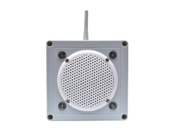 External voice annunciator with white LEDs
